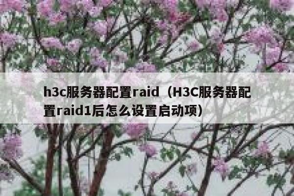 h3c服务器配置raid(H3C服务器配置raid1后怎么设置启动项) 第1张 h3c服务器配置raid(H3C服务器配置raid1后怎么设置启动项) 第1张