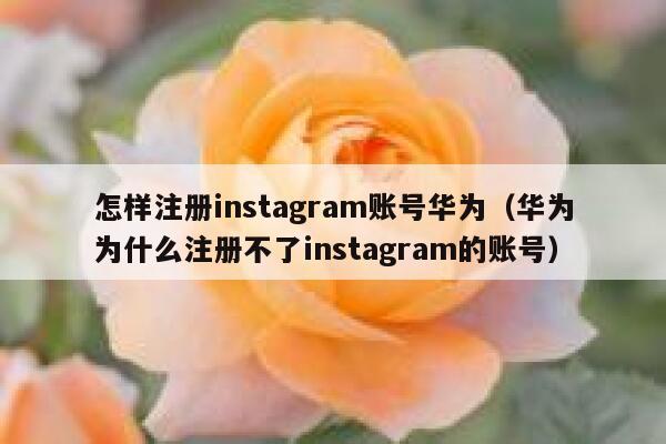 怎样注册instagram账号华为（华为为什么注册不了instagram的账号） 第1张