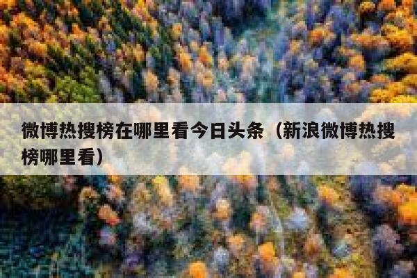 微博热搜榜在哪里看今日头条（新浪微博热搜榜哪里看） 第1张