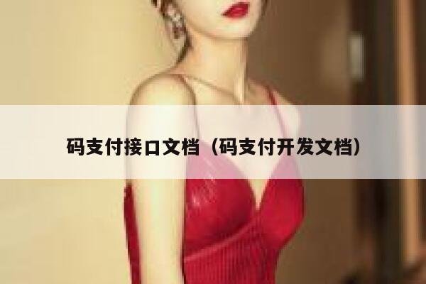 码支付接口文档（码支付开发文档） 第1张