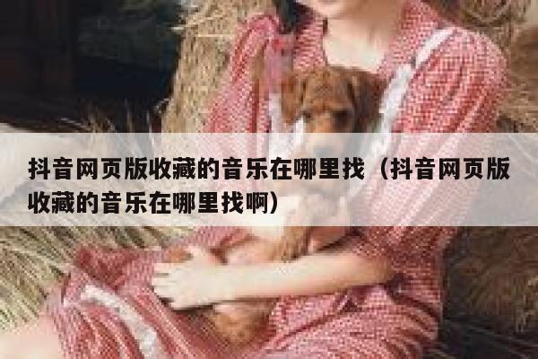 抖音网页版收藏的音乐在哪里找（抖音网页版收藏的音乐在哪里找啊） 第1张