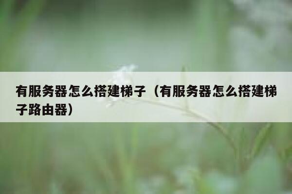 有服务器怎么搭建梯子（有服务器怎么搭建梯子路由器） 第1张