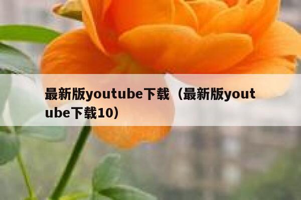 最新版youtube下载（最新版youtube下载10） 第1张