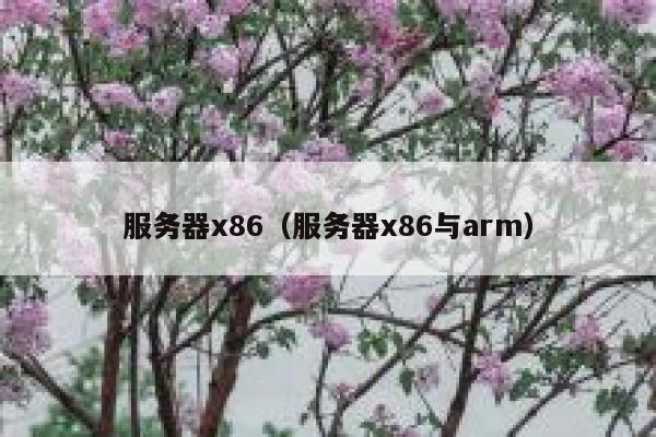 服务器x86（服务器x86与arm） 第1张