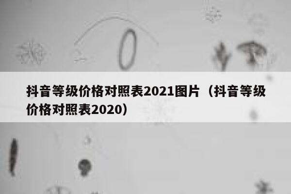 抖音等级价格对照表2021图片（抖音等级价格对照表2020） 第1张