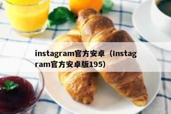 instagram官方安卓（Instagram官方安卓版195） 第1张