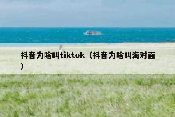 抖音为啥叫tiktok（抖音为啥叫海对面） 第1张