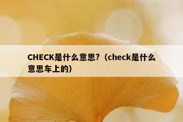 CHECK是什么意思?（check是什么意思车上的） 第1张