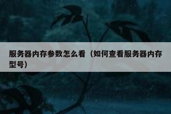 服务器内存参数怎么看（如何查看服务器内存型号） 第1张