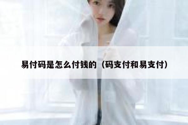 易付码是怎么付钱的（码支付和易支付） 第1张