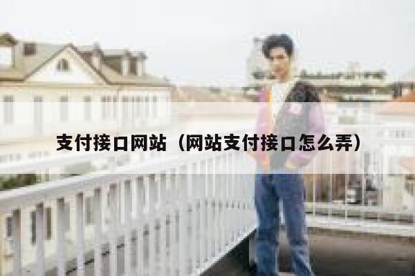 支付接口网站（网站支付接口怎么弄） 第1张