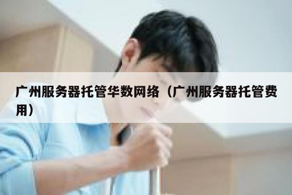 广州服务器托管华数网络（广州服务器托管费用） 第1张