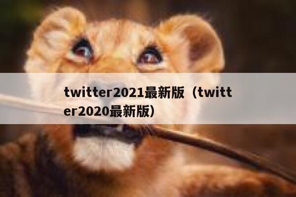 twitter2021最新版（twitter2020最新版） 第1张