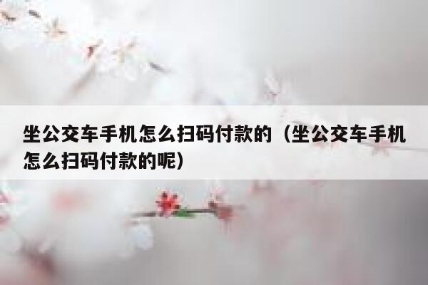 坐公交车手机怎么扫码付款的(坐公交车手机怎么扫码付款的呢) 第1张 坐公交车手机怎么扫码付款的(坐公交车手机怎么扫码付款的呢) 第1张