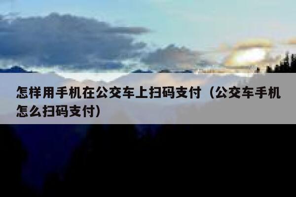 怎样用手机在公交车上扫码支付（公交车手机怎么扫码支付） 第1张