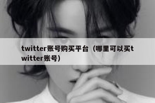 twitter账号购买平台（哪里可以买twitter账号） 第1张