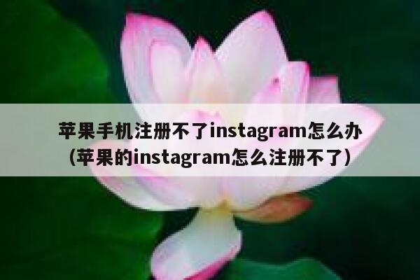 苹果手机注册不了instagram怎么办（苹果的instagram怎么注册不了） 第1张