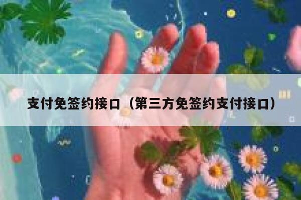 支付免签约接口（第三方免签约支付接口） 第1张