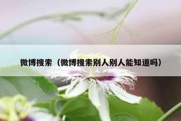 微博搜索（微博搜索别人别人能知道吗） 第1张