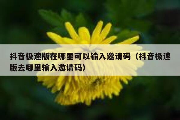 抖音极速版在哪里可以输入邀请码（抖音极速版去哪里输入邀请码） 第1张