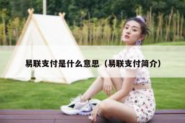 易联支付是什么意思（易联支付简介） 第1张