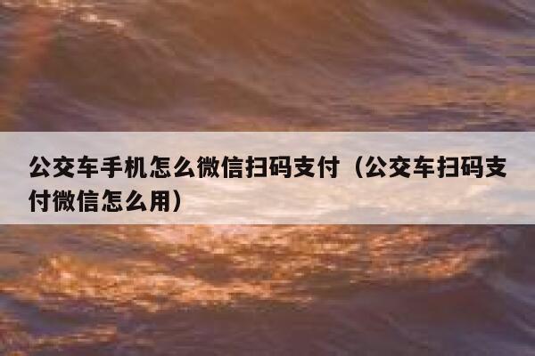 公交车手机怎么微信扫码支付（公交车扫码支付微信怎么用） 第1张
