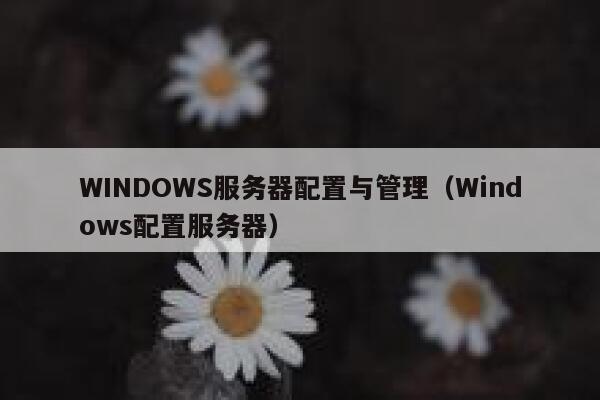 WINDOWS服务器配置与管理（Windows配置服务器） 第1张