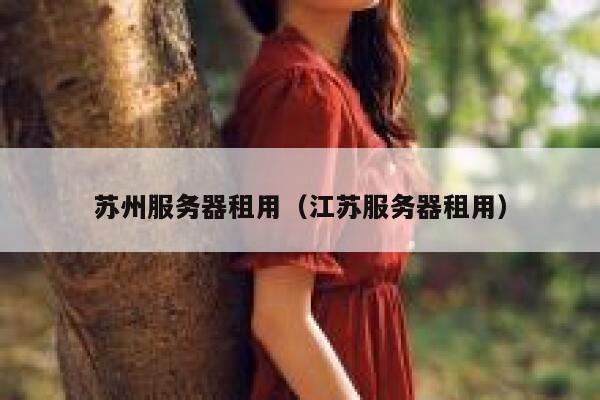 苏州服务器租用（江苏服务器租用） 第1张