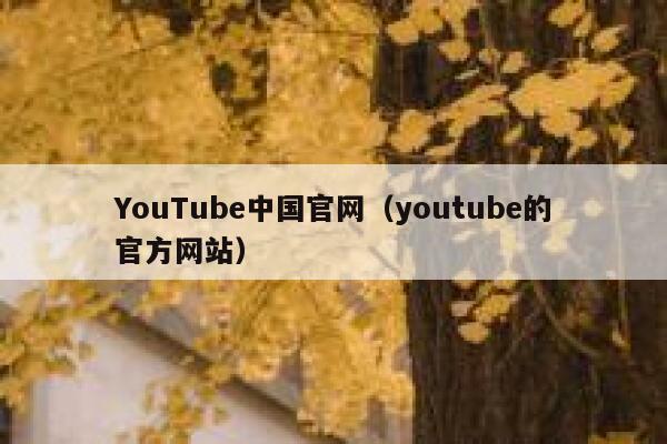 YouTube中国官网（youtube的官方网站） 第1张