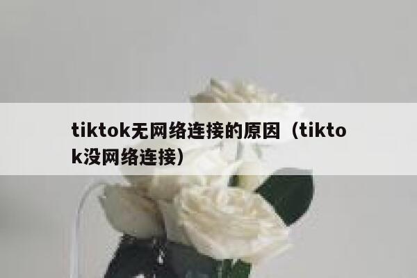 tiktok无网络连接的原因(tiktok没网络连接) 第1张 tiktok无网络连接的原因(tiktok没网络连接) 第1张