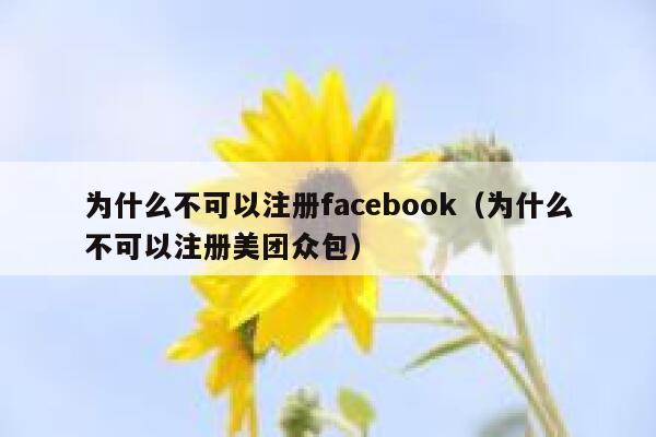 为什么不可以注册facebook（为什么不可以注册美团众包） 第1张