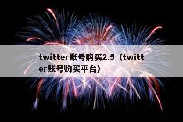 twitter账号购买2.5（twitter账号购买平台） 第1张