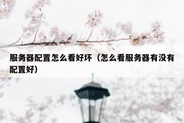 服务器配置怎么看好坏（怎么看服务器有没有配置好） 第1张