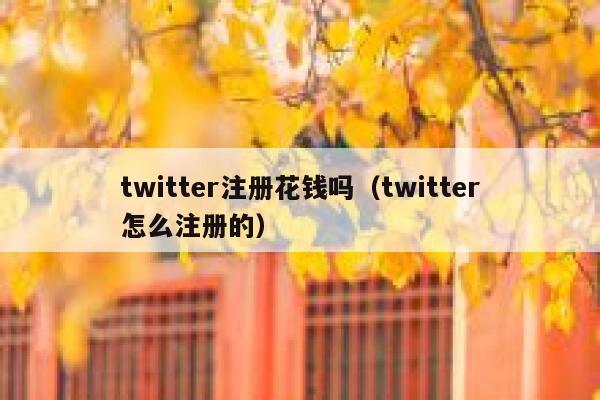 twitter注册花钱吗（twitter怎么注册的） 第1张