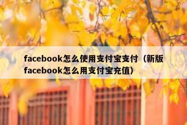 facebook怎么使用支付宝支付（新版facebook怎么用支付宝充值） 第1张