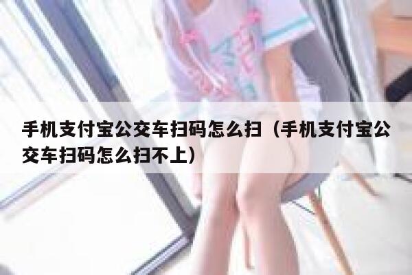 手机支付宝公交车扫码怎么扫（手机支付宝公交车扫码怎么扫不上） 第1张