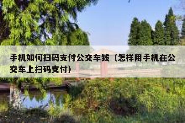手机如何扫码支付公交车钱（怎样用手机在公交车上扫码支付） 第1张