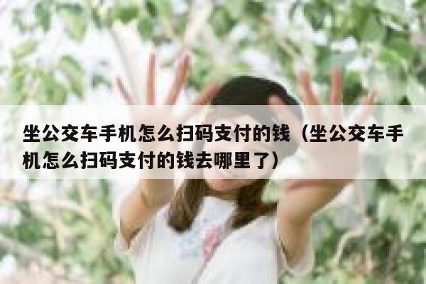坐公交车手机怎么扫码支付的钱(坐公交车手机怎么扫码支付的钱去哪里了) 第1张 坐公交车手机怎么扫码支付的钱(坐公交车手机怎么扫码支付的钱去哪里了) 第1张