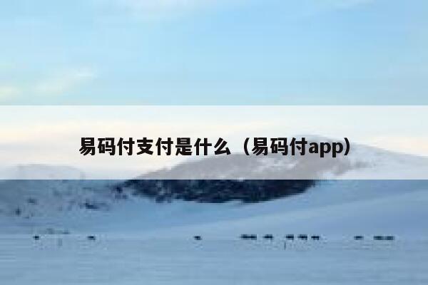 易码付支付是什么（易码付app） 第1张