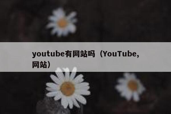 youtube有网站吗（YouTube,网站） 第1张