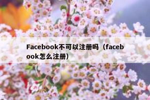 Facebook不可以注册吗(facebook怎么注册) 第1张 Facebook不可以注册吗(facebook怎么注册) 第1张