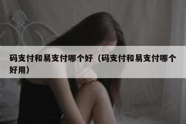 码支付和易支付哪个好（码支付和易支付哪个好用） 第1张