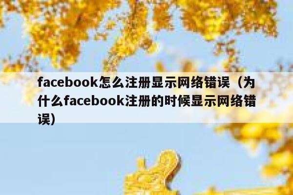 facebook怎么注册显示网络错误（为什么facebook注册的时候显示网络错误） 第1张