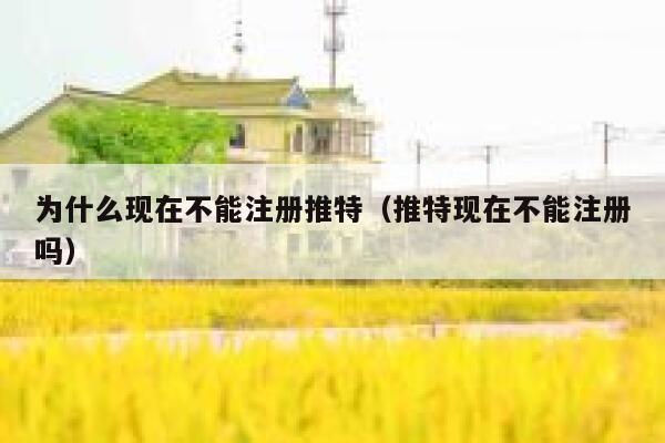 为什么现在不能注册推特（推特现在不能注册吗） 第1张