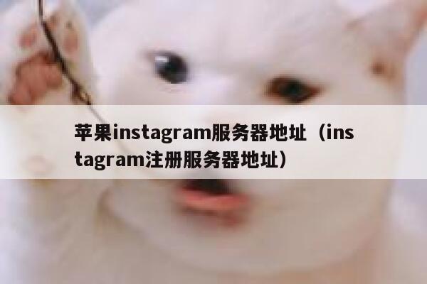 苹果instagram服务器地址（instagram注册服务器地址） 第1张