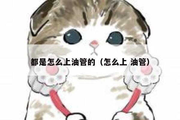 都是怎么上油管的（怎么上 油管） 第1张