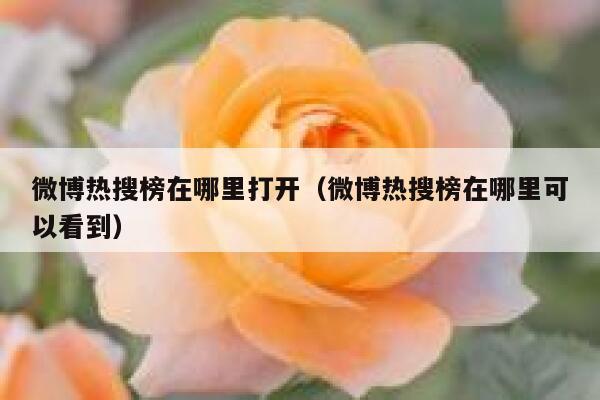 微博热搜榜在哪里打开（微博热搜榜在哪里可以看到） 第1张