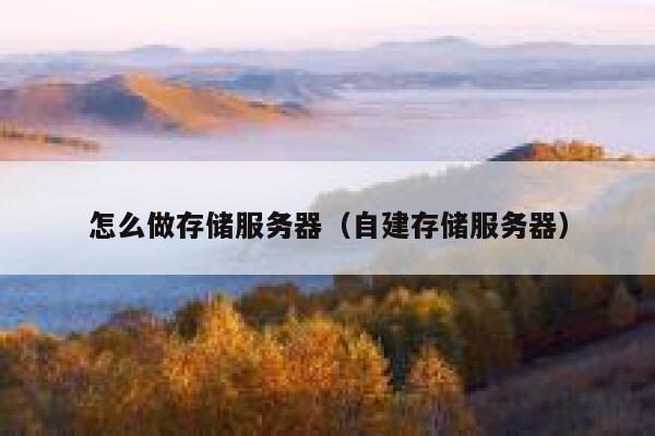 怎么做存储服务器（自建存储服务器） 第1张