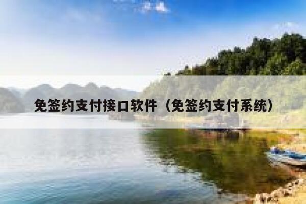 免签约支付接口软件（免签约支付系统） 第1张