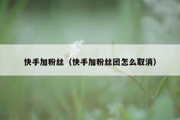 快手加粉丝（快手加粉丝团怎么取消） 第1张